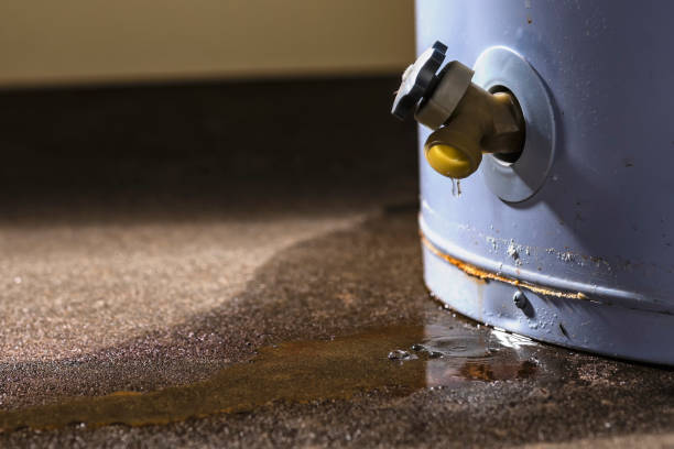 Best Sewage cleanup and water damage restoration  in Shanor Northvue, PA