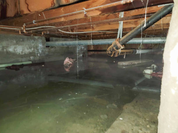 Best 24/7 water damage repair  in Shanor Northvue, PA