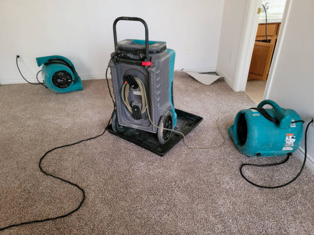 Best Flood damage cleanup  in Shanor Northvue, PA