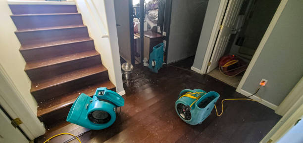 Best Water damage restoration near me  in Shanor Northvue, PA