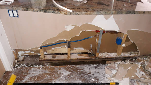 Best Water damage contractors near me  in Shanor Northvue, PA