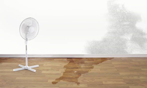 Best Ceiling water damage repair  in Shanor Northvue, PA