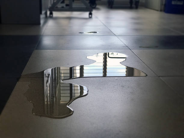 Best 24-hour water damage restoration  in Shanor Northvue, PA