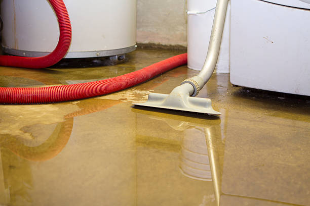 Best Water damage restoration experts  in Shanor Northvue, PA