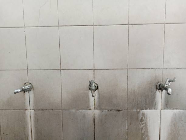 Best Local water damage restoration  in Shanor Northvue, PA
