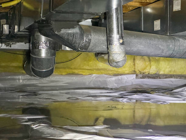 Best Flooded house restoration  in Shanor Northvue, PA